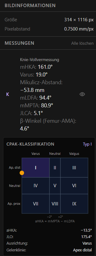 Messwerte-Panel mit Knie-Vollvermessung und CPAK-Klassifikation